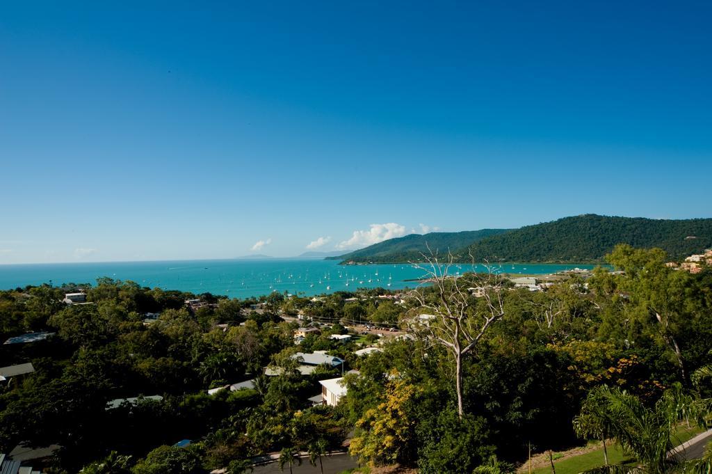 Sea Star Apartments Airlie Beach Exteriör bild